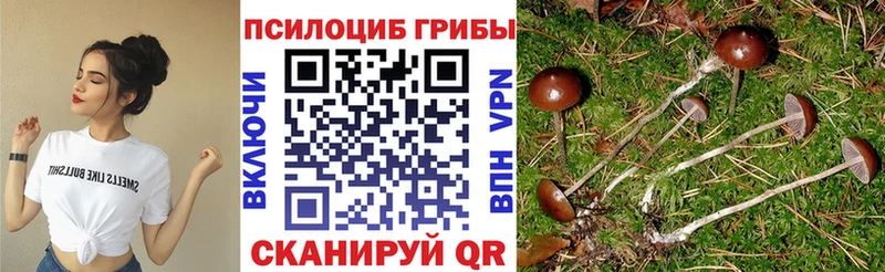 кракен рабочий сайт  где можно купить наркотик  Боготол  Псилоцибиновые грибы ЛСД 